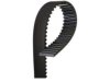 NAPA 250303 Timing Belt