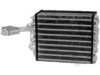 DELPHI  TSP0525104 A/C Evaporator Core
