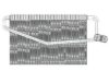 DELPHI  TSP0525156 A/C Evaporator Core