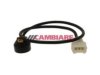 CAMBIARE  VE369002 Knock (Detonation) Sensor