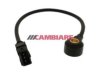 CAMBIARE  VE369013 Knock (Detonation) Sensor