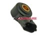 CAMBIARE  VE369022 Knock (Detonation) Sensor