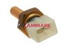 OEM 26906161 Temperature Sender / Sensor
