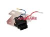 CAMBIARE  VE520256 Ignition Control Module (ICM)