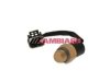 CAMBIARE  VE709085 Radiator Fan Switch