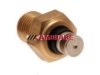 CAMBIARE  VE718013 Temperature Sender / Sensor