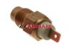 CAMBIARE  VE718100 Temperature Sender / Sensor