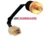CAMBIARE  VE718106 Temperature Sender / Sensor