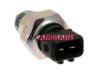 CAMBIARE  VE724113 Back Up Lamp Switch