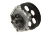 OEM 1610019135 Water Pump