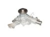Walbro AW6251 Water Pump