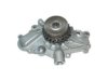 Walbro AW7161 Water Pump
